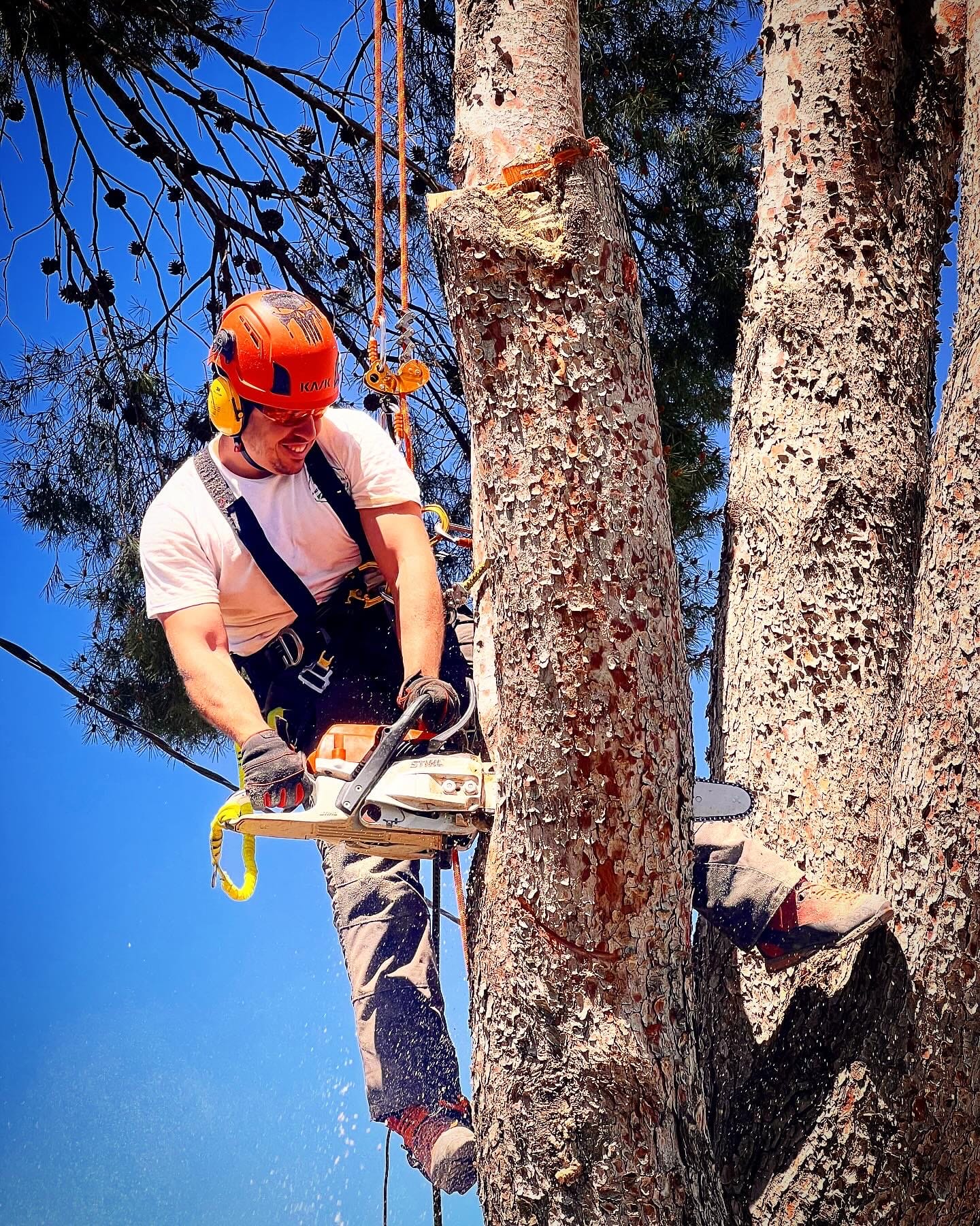 Profesional realizando tala en altura