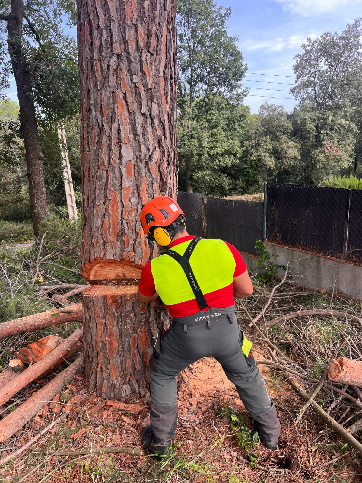 Equipo Manzer Agroforestal en campo