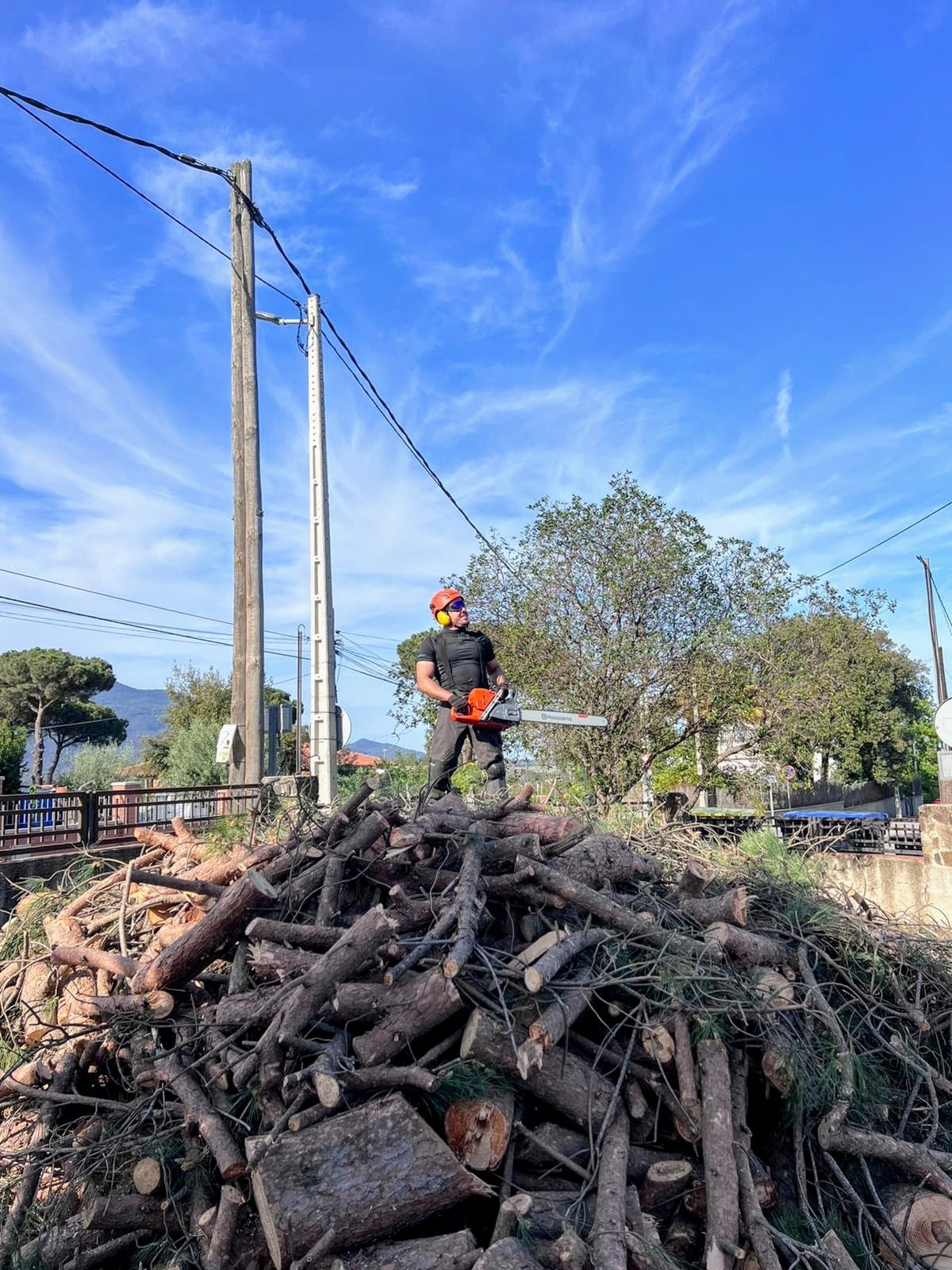 Trabajo forestal sostenible