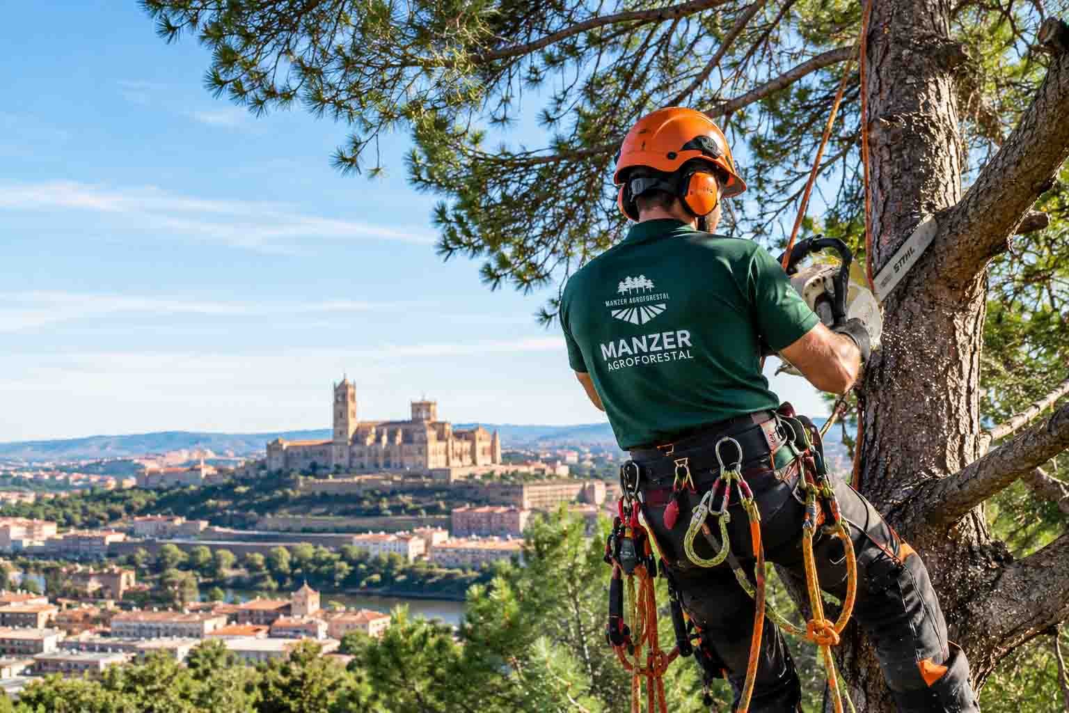 Trabajos forestales Manzer Agroforestal